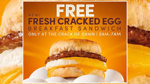 Tim Hortons FREE Fresh Cracked Egg Breakfast Sandwich! - frugallydelish.com